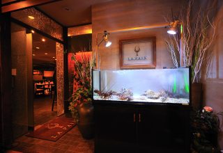 LA PAIX (ラペ) 写真3