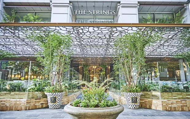 ザ ストリングス 表参道