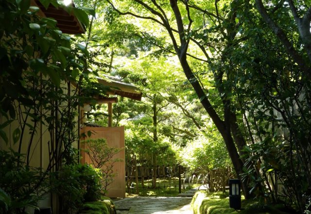 梅の花 太宰府別荘自然庵 写真3