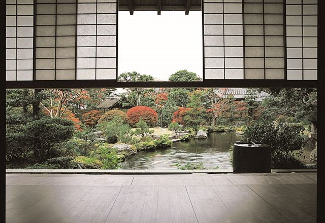 梅の花 太宰府別荘自然庵 写真1