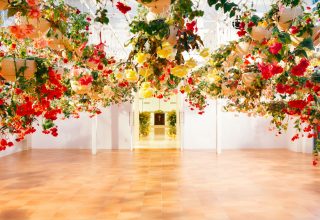 ぶどうの樹　森のWedding　岡垣本店 写真4